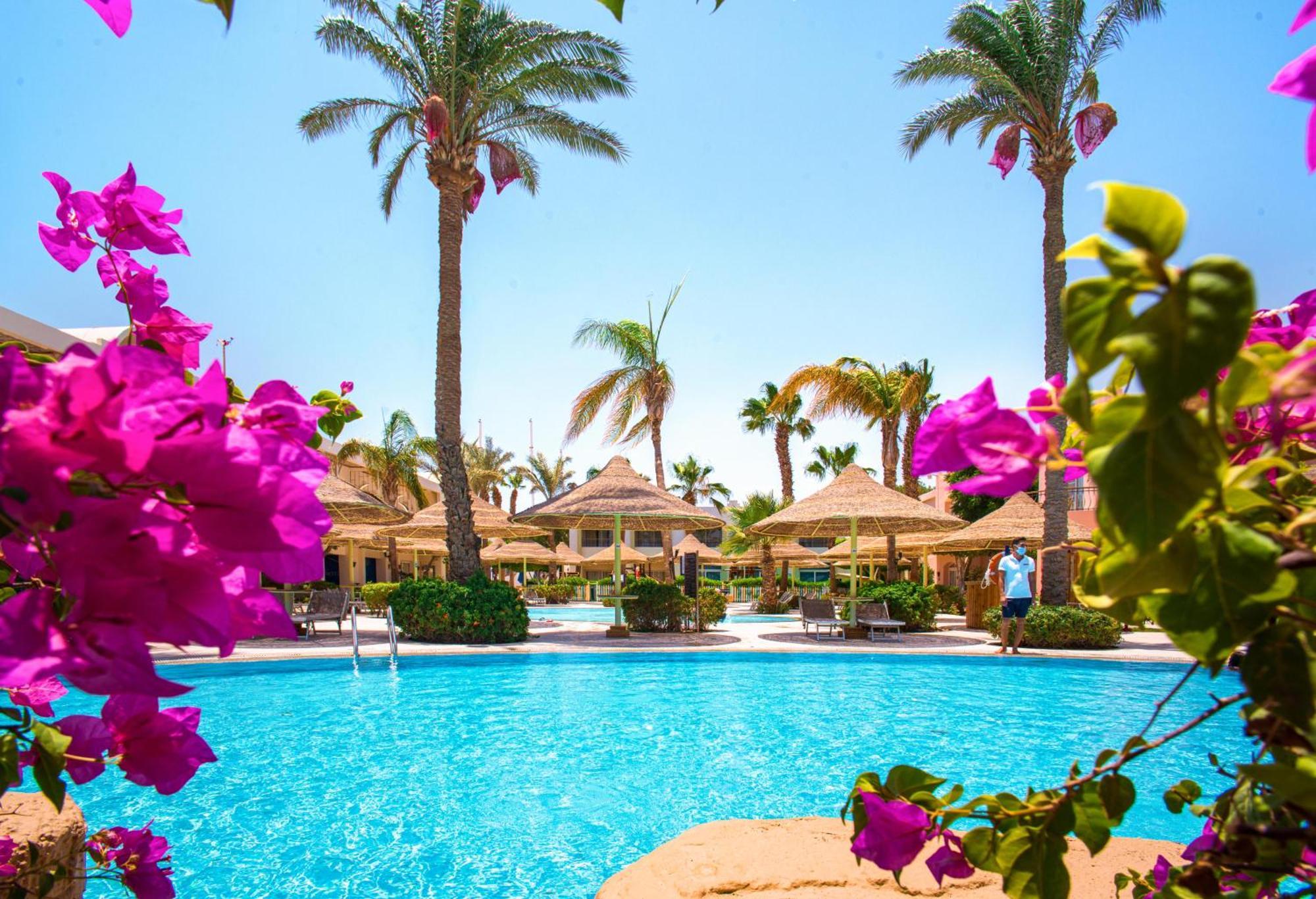 沙姆沙伊赫塞拉酒店 外观 照片 A swimming pool at a resort