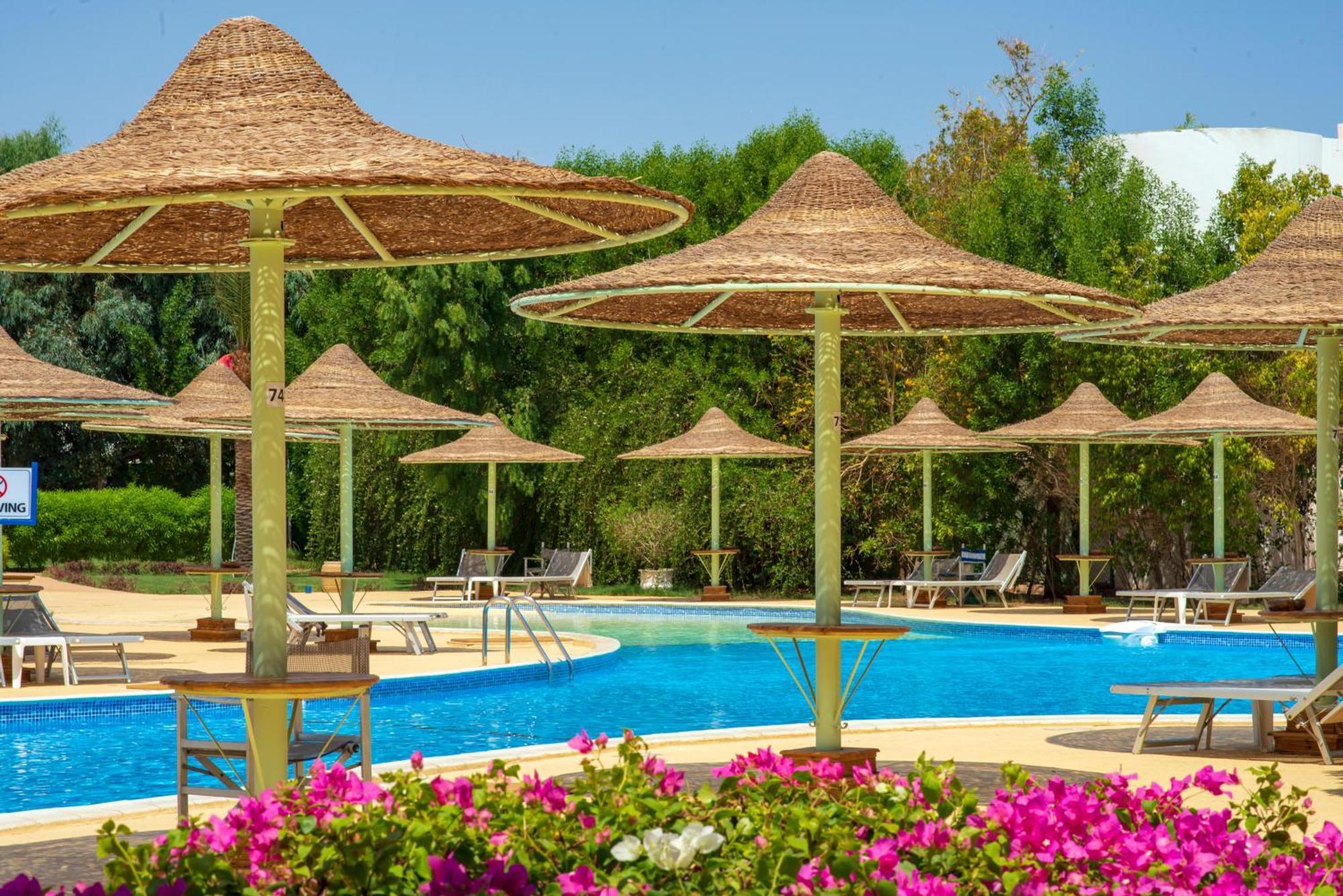 沙姆沙伊赫塞拉酒店 外观 照片 A swimming pool in Egypt
