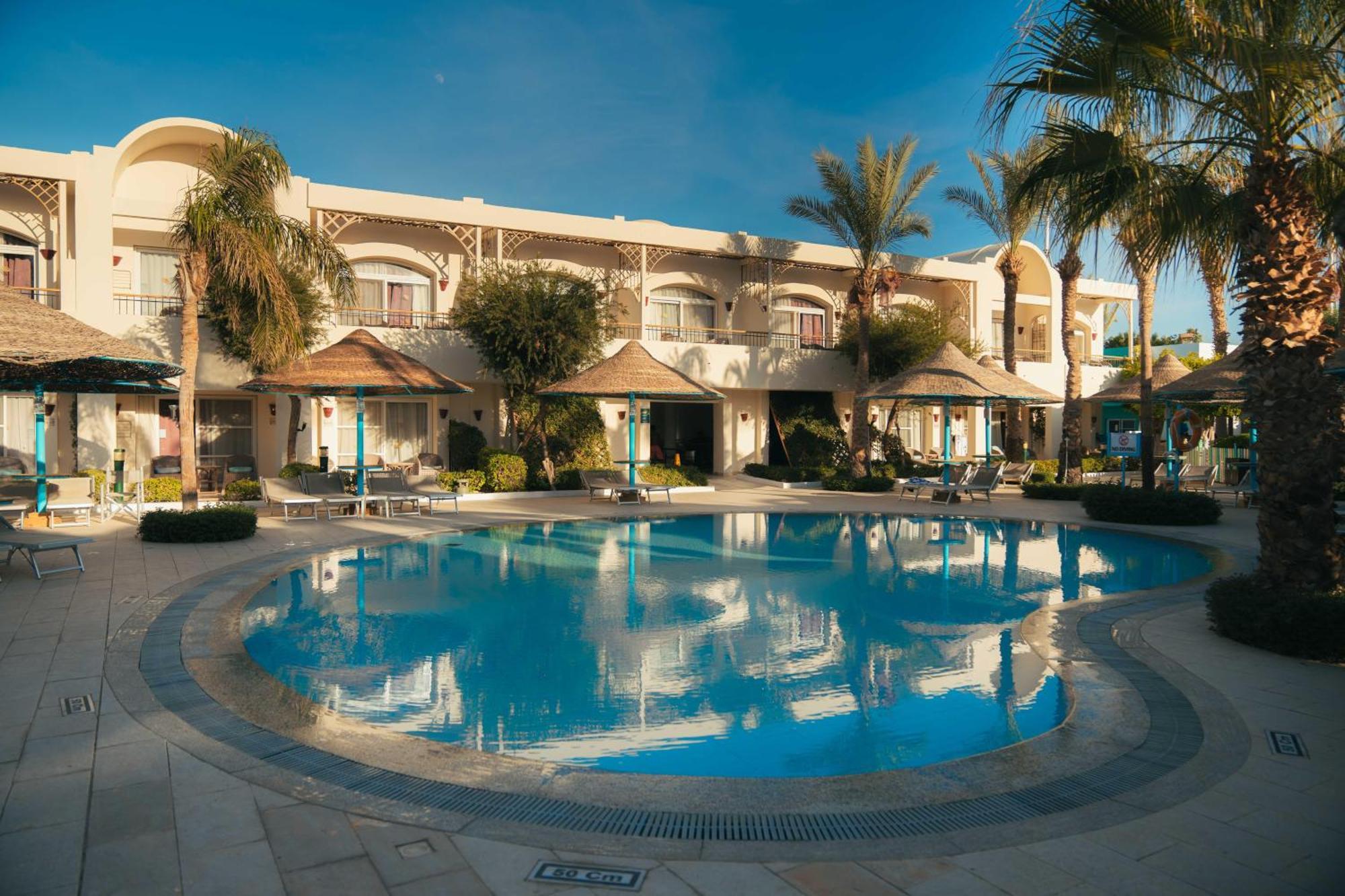 沙姆沙伊赫塞拉酒店 外观 照片 The swimming pool at the hotel